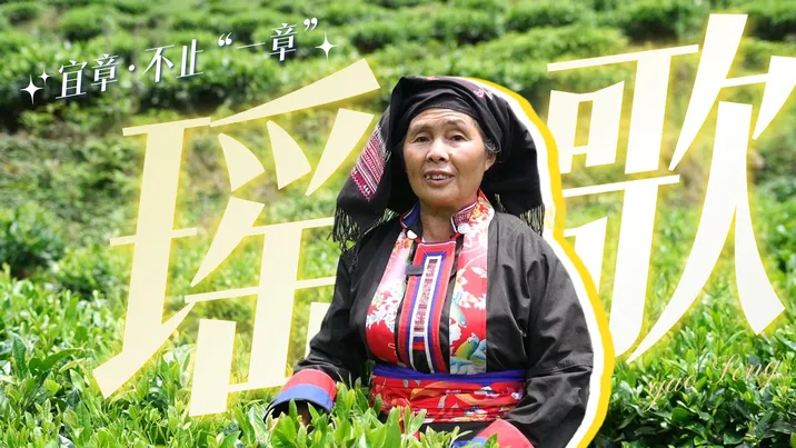宜章，不止一“章”丨莽山瑶歌的千年回响与新生
